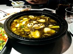 -拈菜(观音桥阳光世纪店)