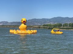 -野鸭湖国家湿地公园