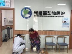 -宠福鑫动物医院(城北分院)