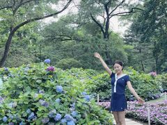 -沈阳植物园