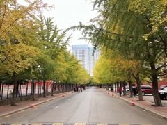 -辽宁大学(崇山校区)