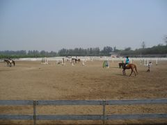 场地-月河湾马术俱乐部(朝阳店)