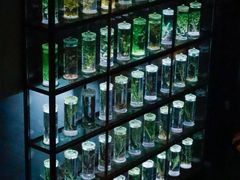 -广东中医药博物馆