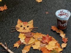 -Peet's Coffee皮爷咖啡(德基店)