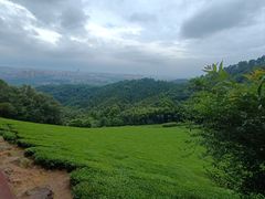 -敬亭山风景名胜区