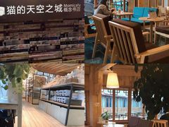 -猫的天空之城概念书店(丽江古城饮玉巷店)