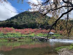 -广州市石门国家森林公园