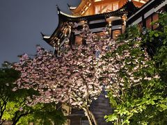 -苏州吴宫泛太平洋酒店