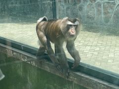 -无锡动物园·太湖欢乐园