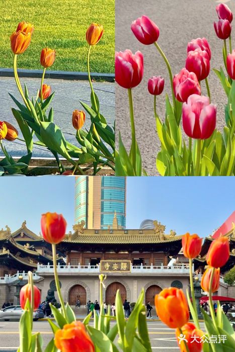 静安寺图片