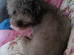 -新招鲜(桃浦路店)