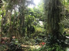 -华南国家植物园-售票处