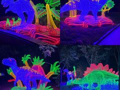 -南宫五洲植物乐园