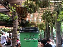 -The Grounds of Alexandria