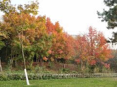 -长春世界雕塑园冰雪艺术天地