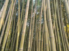 -湖南省立第一师范学校旧址