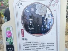 -中山市树木园
