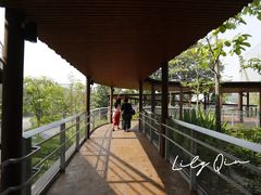 -新加坡飞禽公园