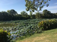 -艾溪湖湿地公园