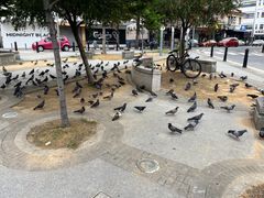 -金伯利街美食夜市