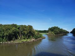 -大湾区中央湿地公园