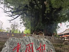 -大槐树寻根祭祖园