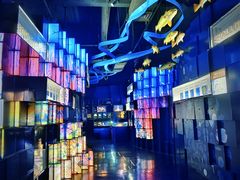 -同济大学四平路校区深海探索馆