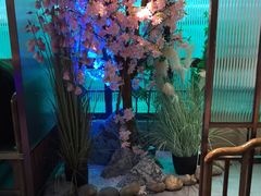 -野妹火锅(龙岗店)