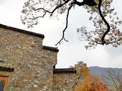 -塔川景区