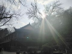 -伯先公园