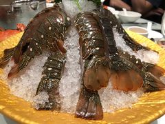 -新一哥粤菜火锅(瑞金店)