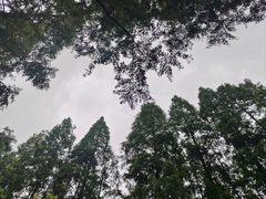 -上海怡沁园度假酒店