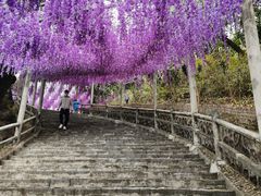 -玉石林风景区