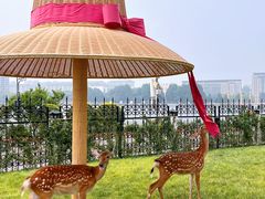 -唐山河头老街国丰维景度假大酒店