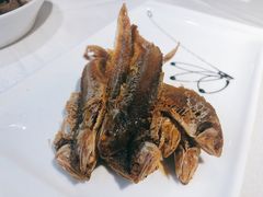 -老人和饭店(淮海中路店)