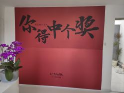 -安那般那皮肤年轻化ANAPANA
