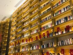-深影国际影城(学院南路店CGS中国巨幕店)