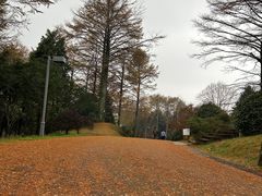 -四明山国家森林公园