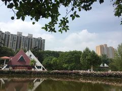 -洛阳市牡丹公园