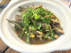 -小小饭店·休闲农庄·安吉松树林里的农家菜