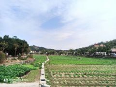 -红山村
