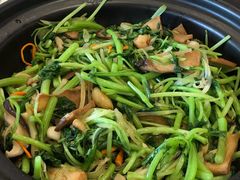 砂煲养生时蔬-真定郝家排骨(正定县总店)