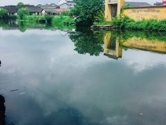 景观位-西塘人家•黑金冠本地好店