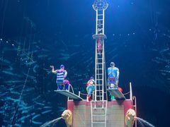 -广州长隆国际大马戏