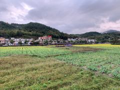 -红山村