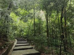 -缙云山景区