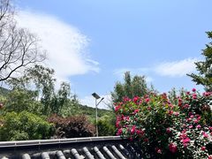 -石塘人家
