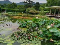 -国家植物园南园