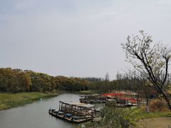 -上海长兴岛郊野公园