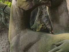-丰都鬼城名山景区